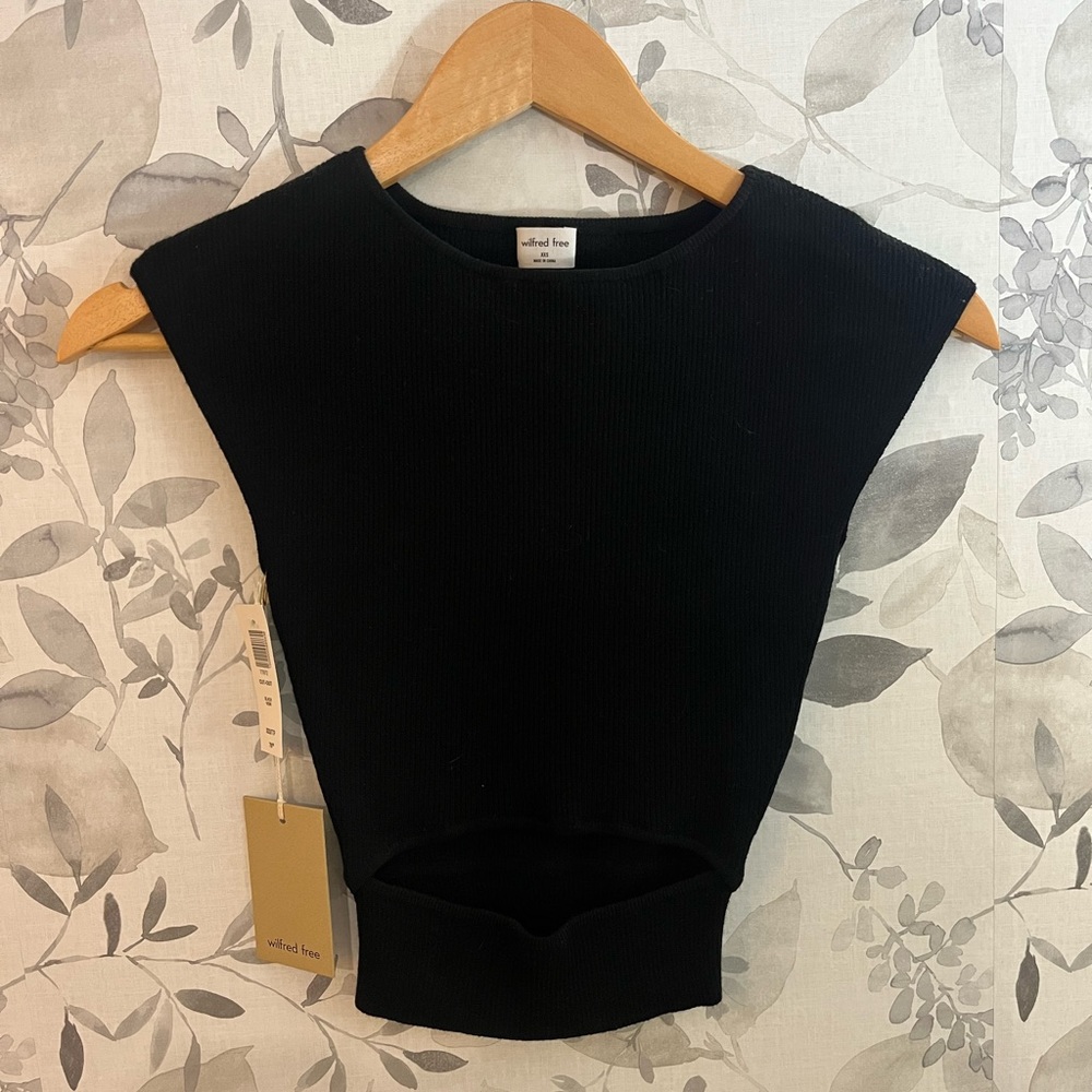 Aritzia Black Sleeveless Crop Top